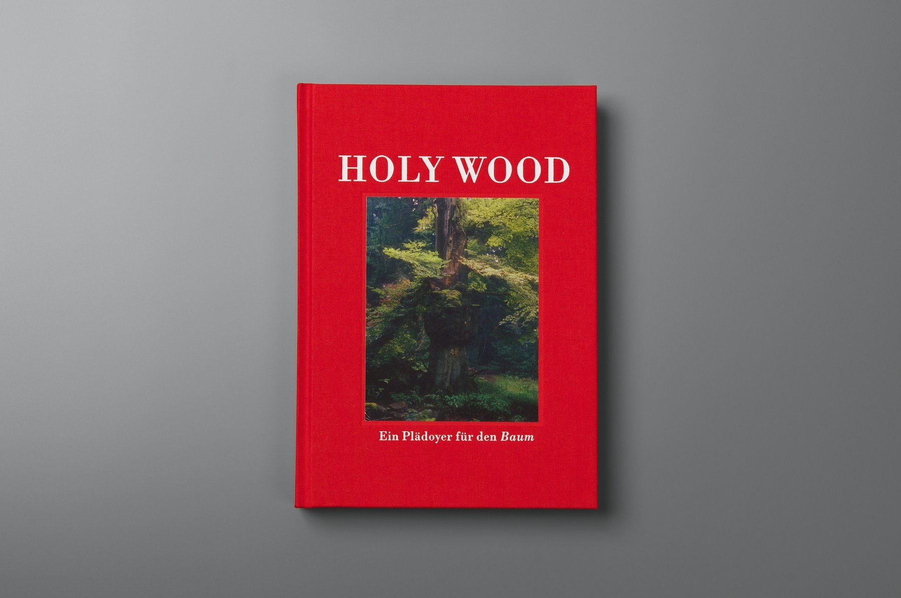 Rotes Buch „Holy Wood“ mit einem Waldmotiv